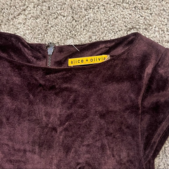 Alice + Olivia Velvet Dress - Picture 10 of 12
